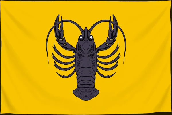 Флаг: Весьегонский муниципальный округ